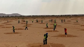 مبادرات التشجير الوطني 2026 تعزز الاستدامة عبر 4 مشاريع بيئية رئيسية